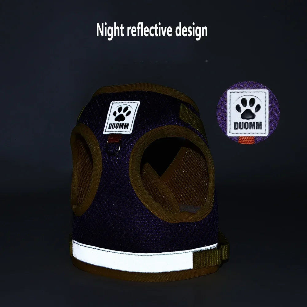 “Walk your pet safely, even at night! Lightweight, comfortable, and visible from afar.”