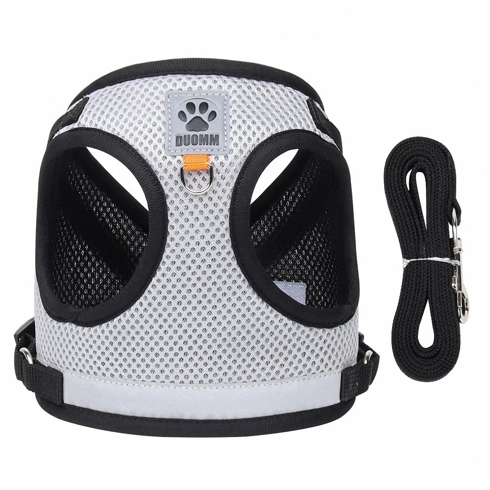 “Walk your pet safely, even at night! Lightweight, comfortable, and visible from afar.”