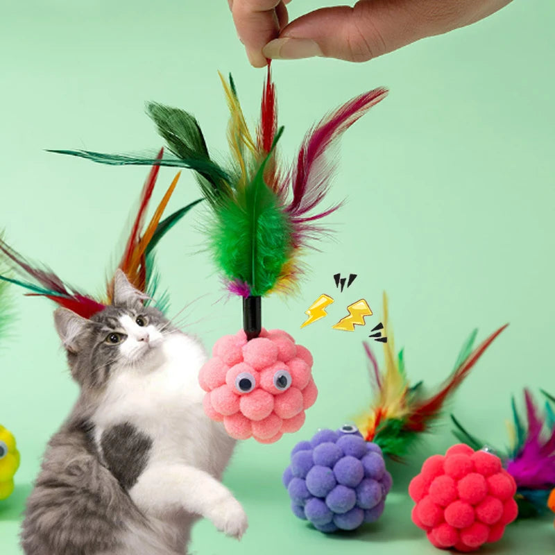 interactive training toy for kittens