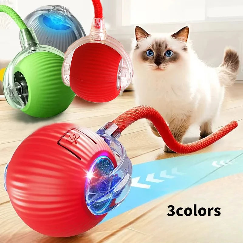 Interactive automatic rolling ball for kitten