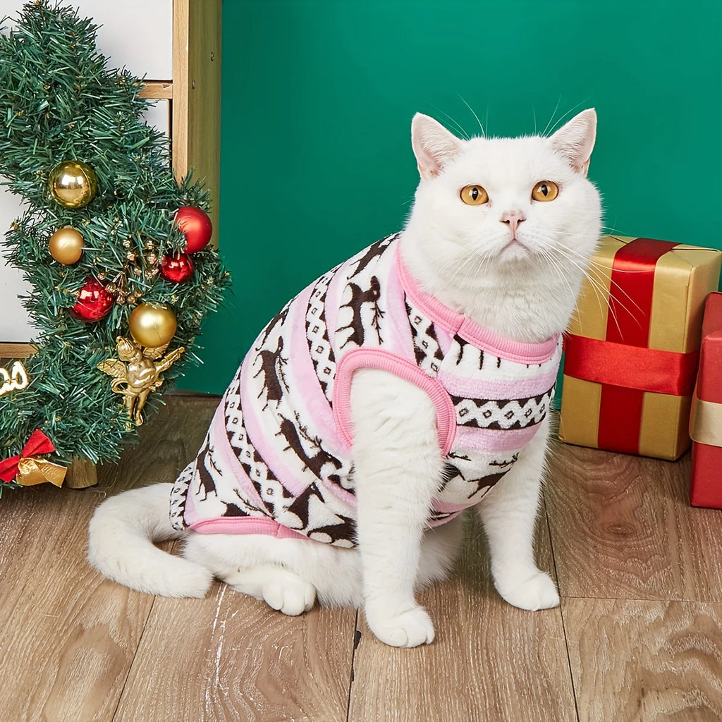 Dog cape, coat, and shawl for pets