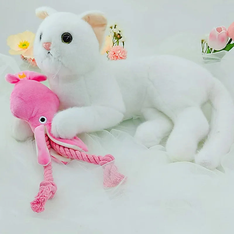 chew toy for puppy, molar training