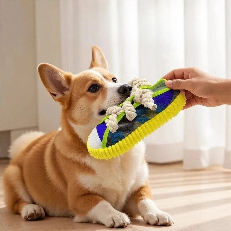 durable chew toy for puppies that squeaks