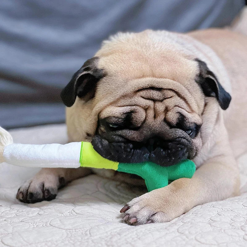 Fun plush chew toys for dogs, bite-resistant, for small and large dogs