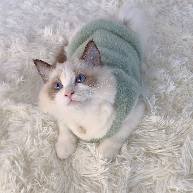 Refreshing kitten clothes, sweaters and cardigans for dogs