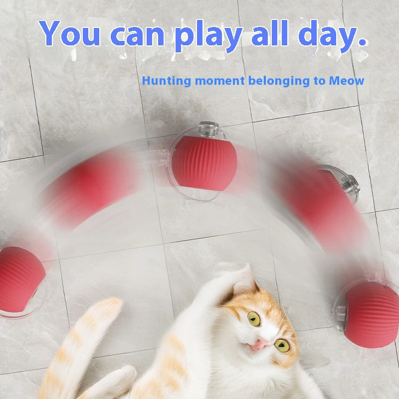 Interactive automatic rolling ball for kitten