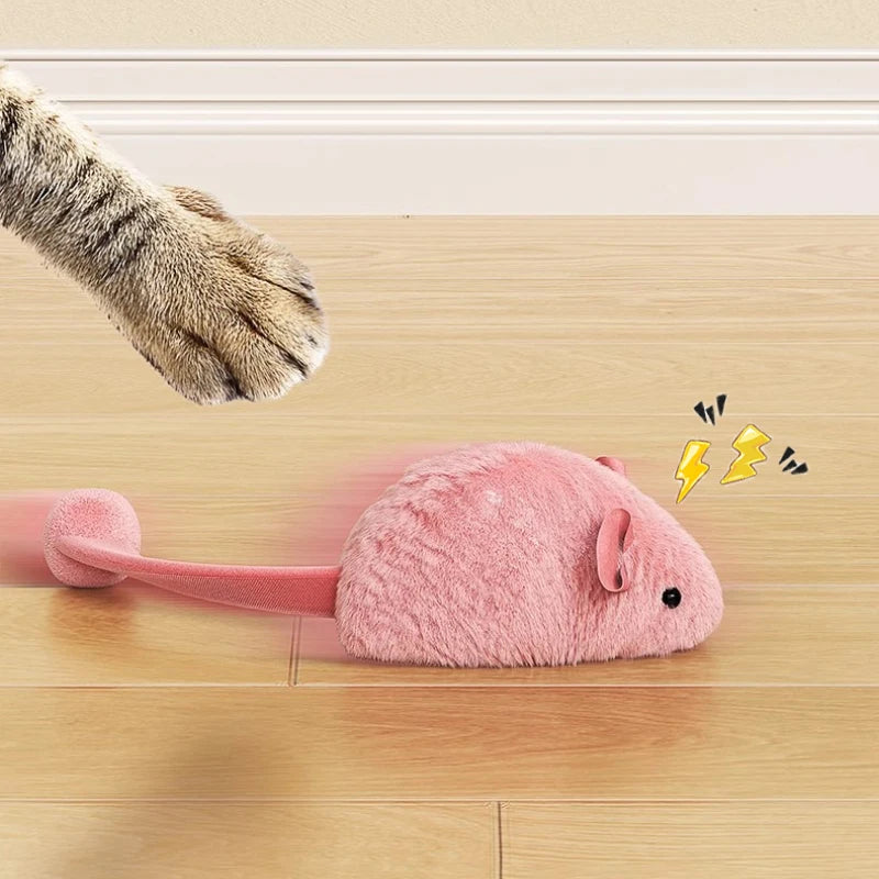 chew toy for indoor cats