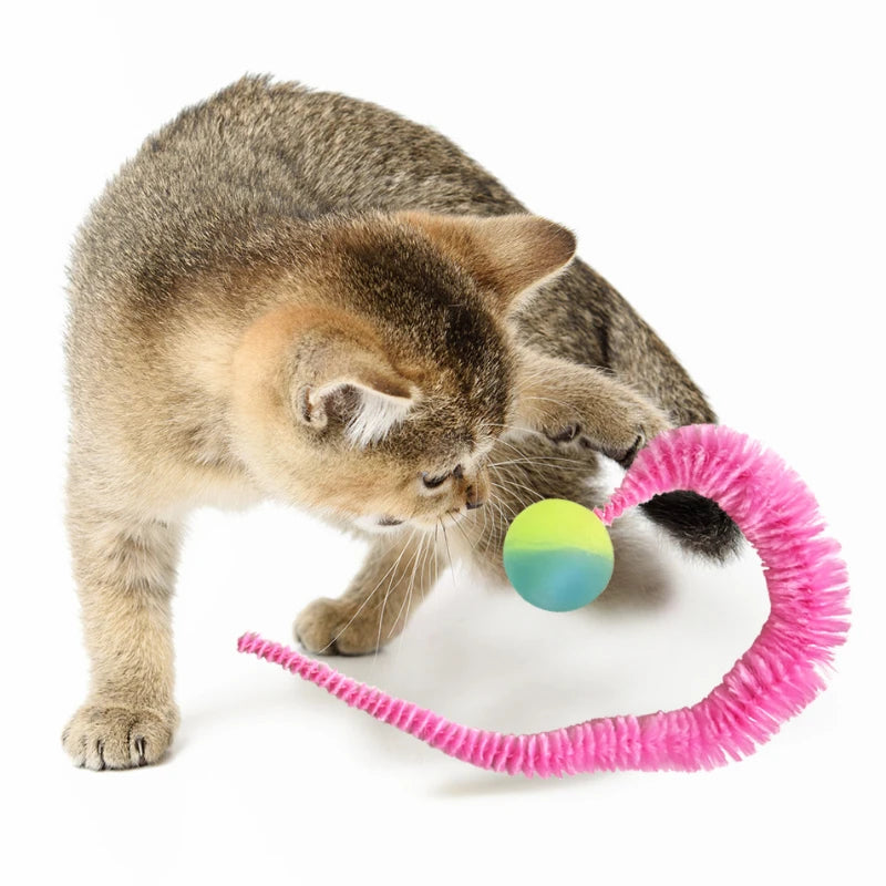 Rainbow Arch Cat Toy Bouncing Ball