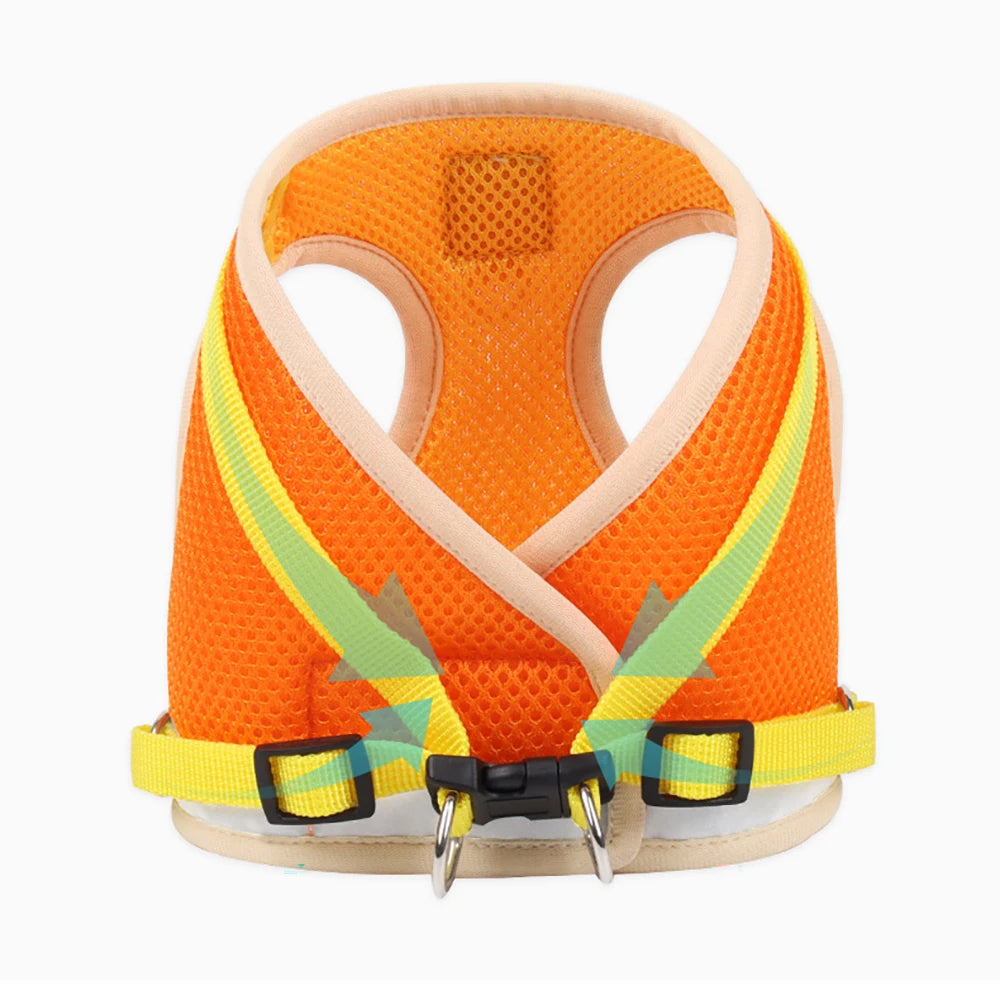 “Walk your pet safely, even at night! Lightweight, comfortable, and visible from afar.”