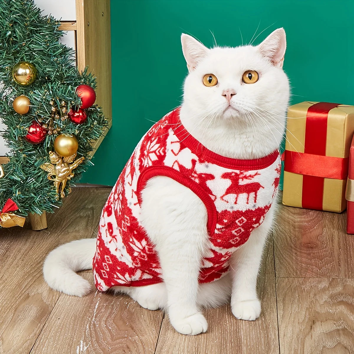 Dog cape, coat, and shawl for pets