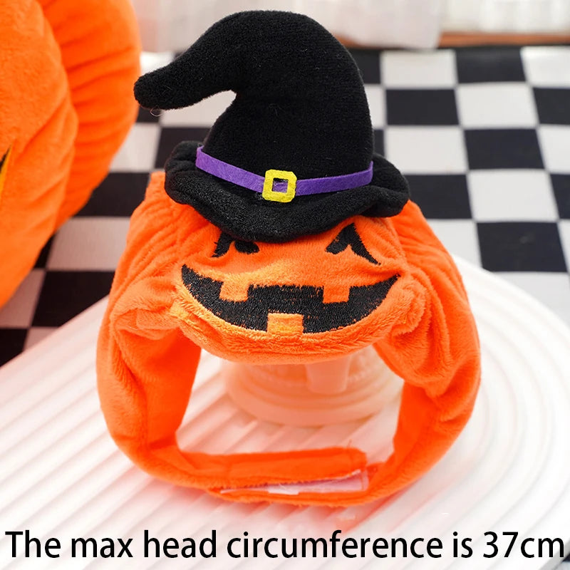 Dog cape, coat, and shawl for pets