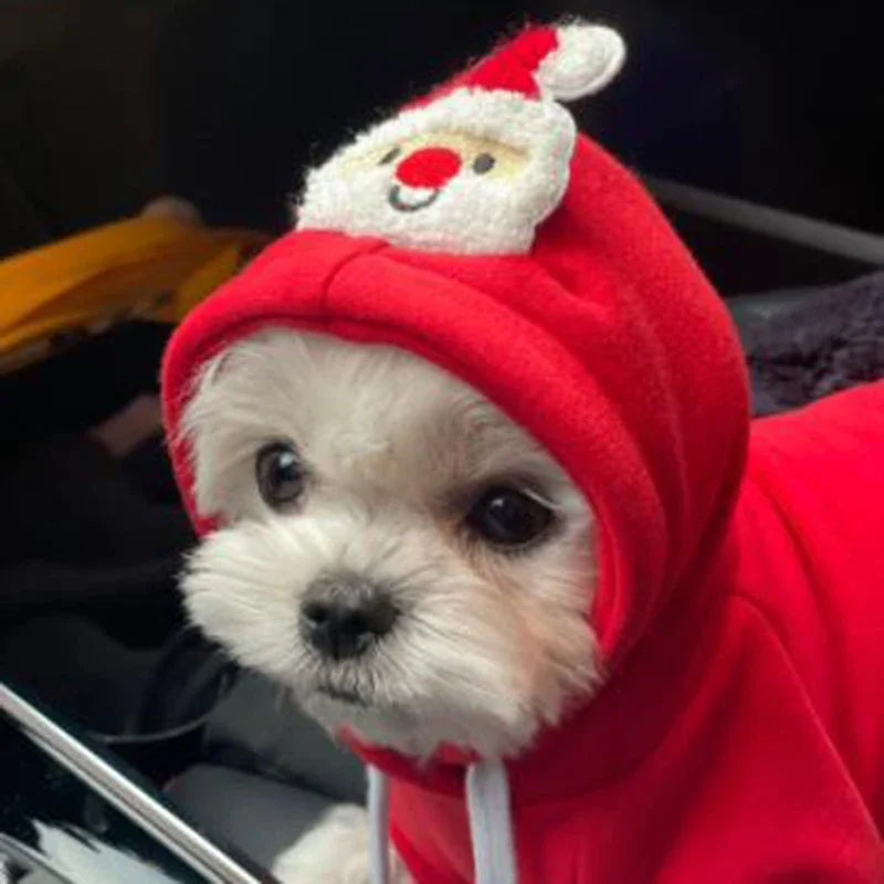 Dog cape, coat, and shawl for pets