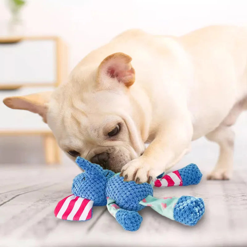 Chew toy for dog Dog dental cleaning