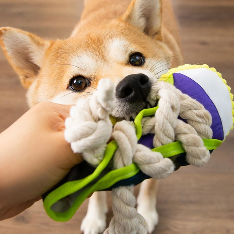 durable chew toy for puppies that squeaks
