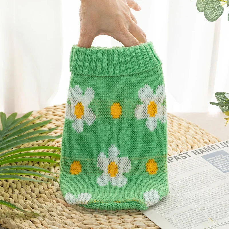 Dog cape, coat, and shawl for pets