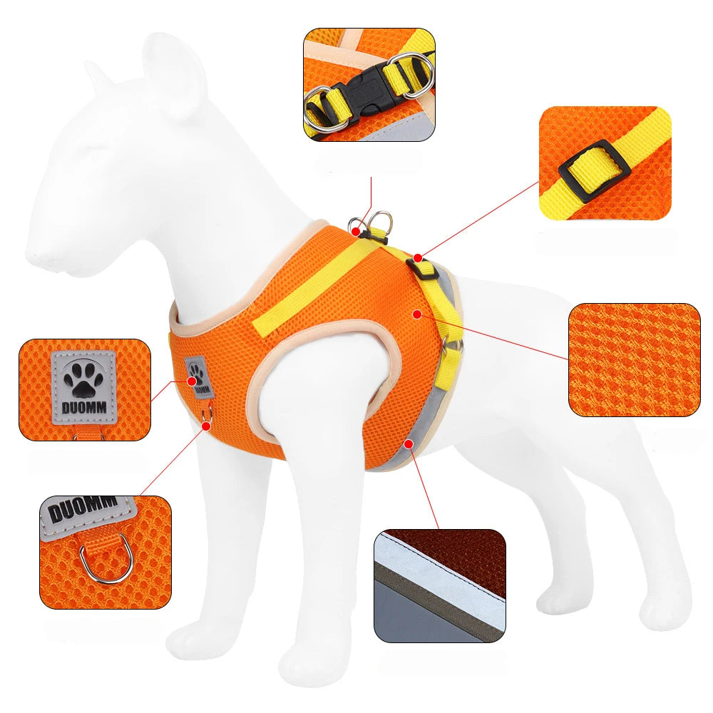 “Walk your pet safely, even at night! Lightweight, comfortable, and visible from afar.”