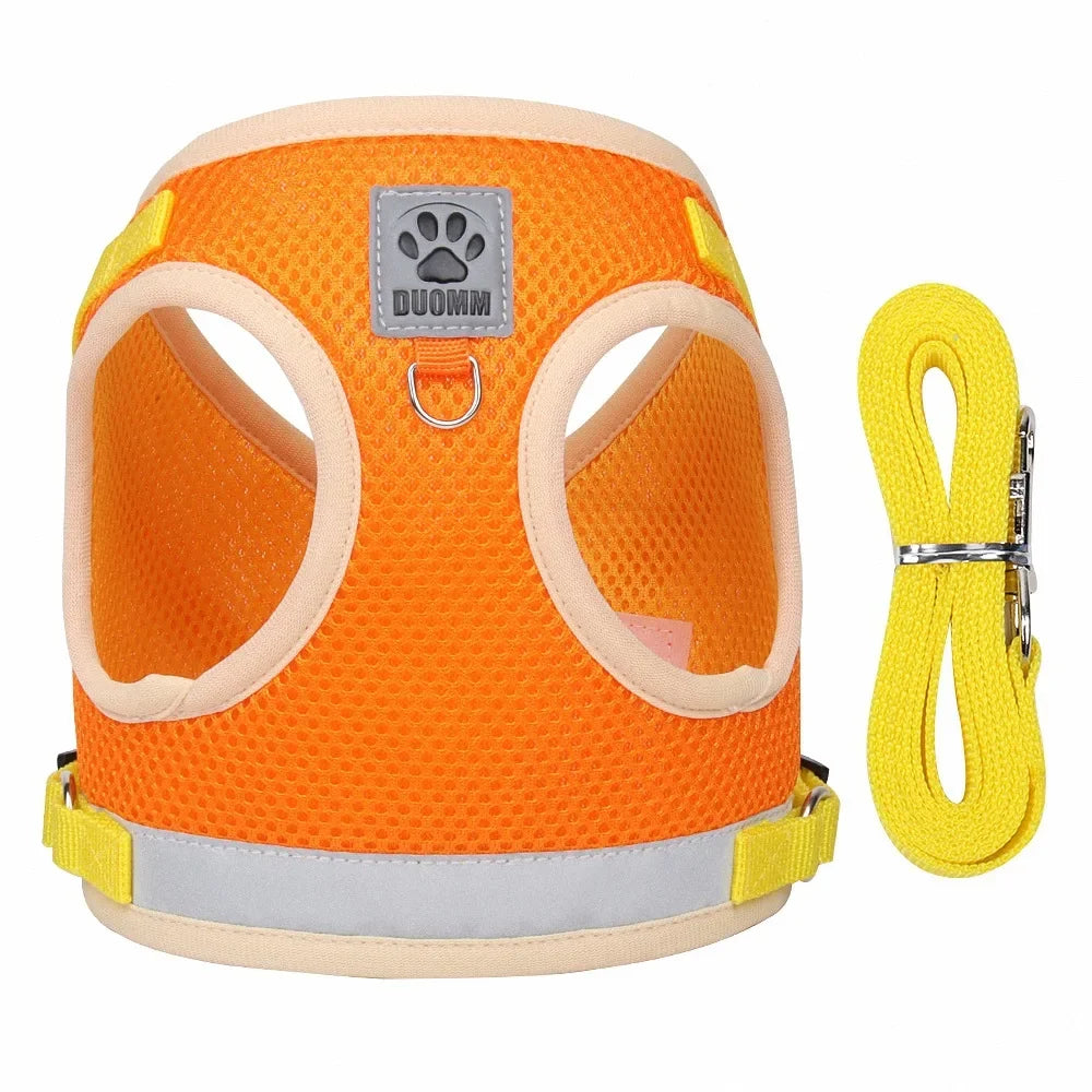 “Walk your pet safely, even at night! Lightweight, comfortable, and visible from afar.”