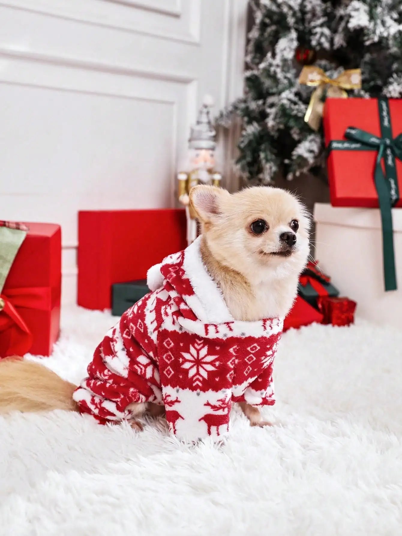 Dog cape, coat, and shawl for pets