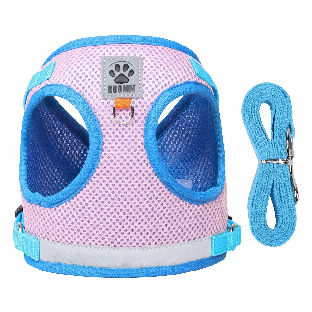 “Walk your pet safely, even at night! Lightweight, comfortable, and visible from afar.”