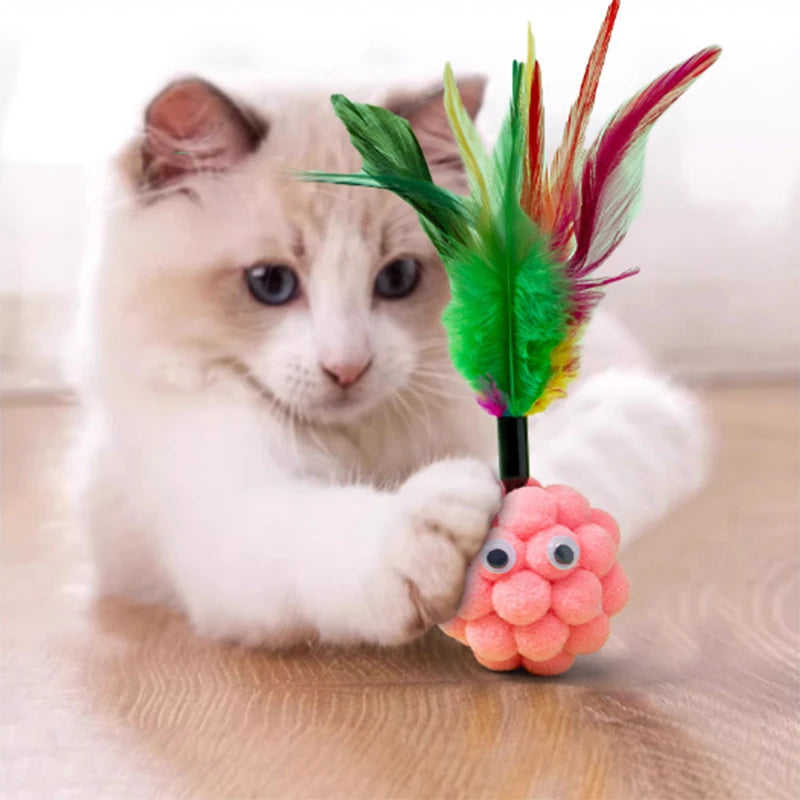interactive training toy for kittens