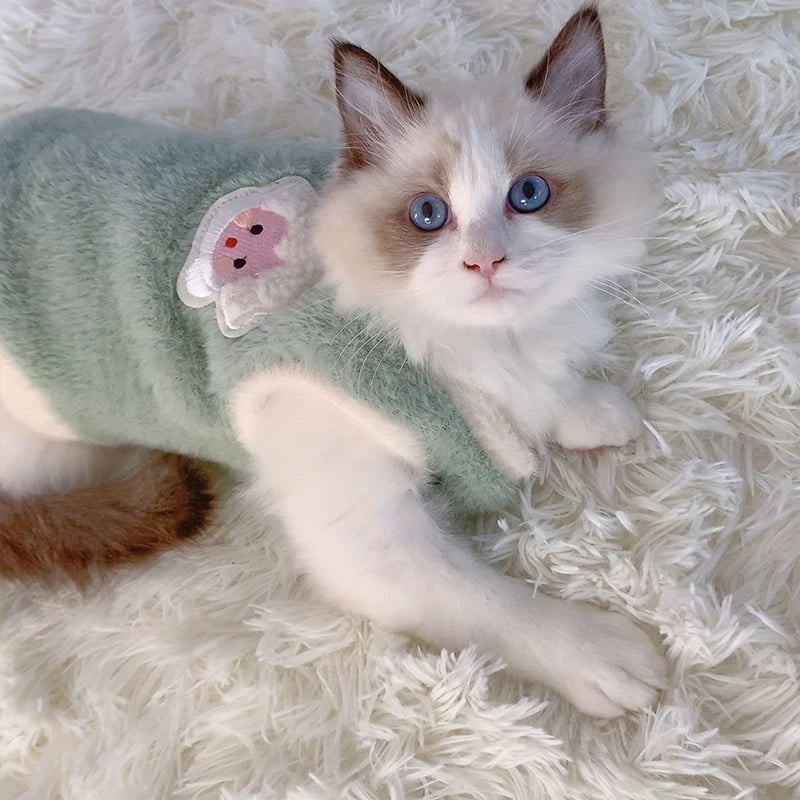 Refreshing kitten clothes, sweaters and cardigans for dogs