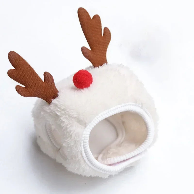 Dog cape, coat, and shawl for pets