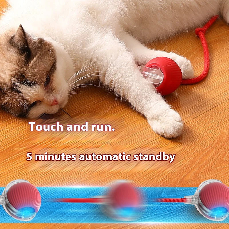 Interactive automatic rolling ball for kitten