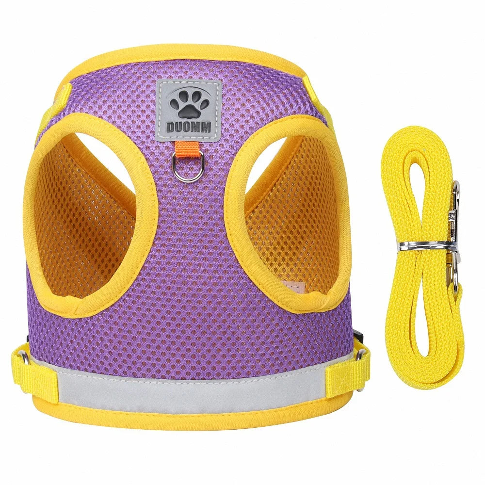 “Walk your pet safely, even at night! Lightweight, comfortable, and visible from afar.”