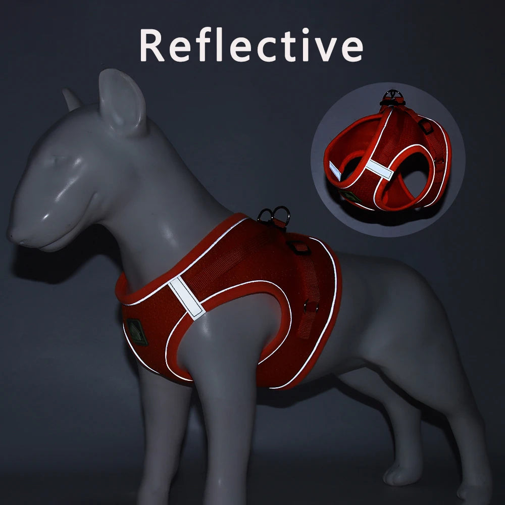 “Walk your pet safely, even at night! Lightweight, comfortable, and visible from afar.”