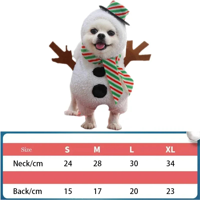 Dog cape, coat, and shawl for pets