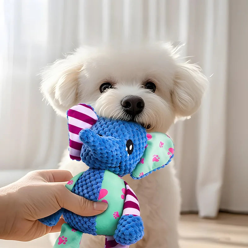 Chew toy for dog Dog dental cleaning