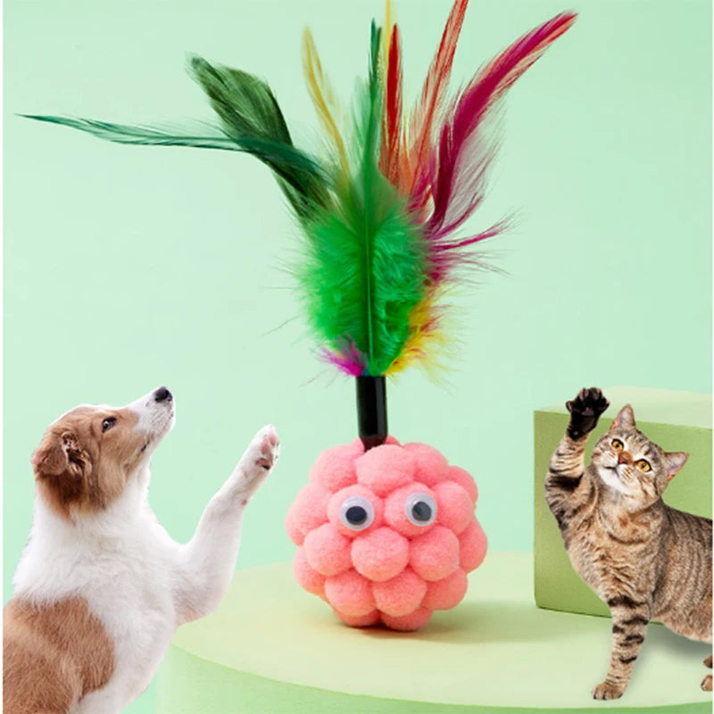 interactive training toy for kittens
