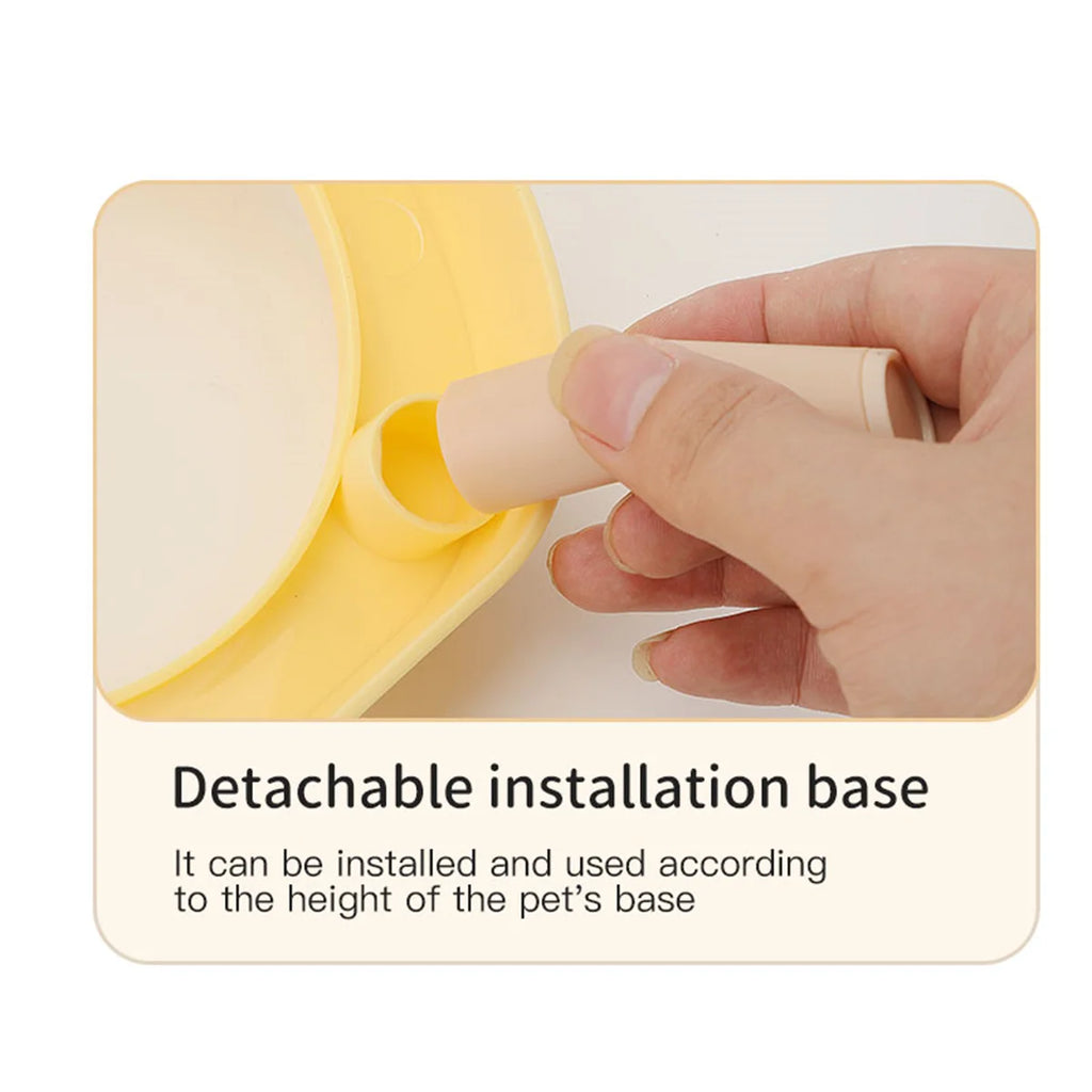 bowl for drinking water for cats and dogs with dual use