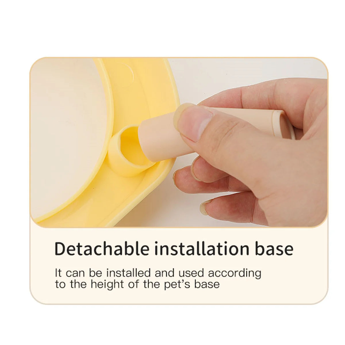 bowl for drinking water for cats and dogs with dual use