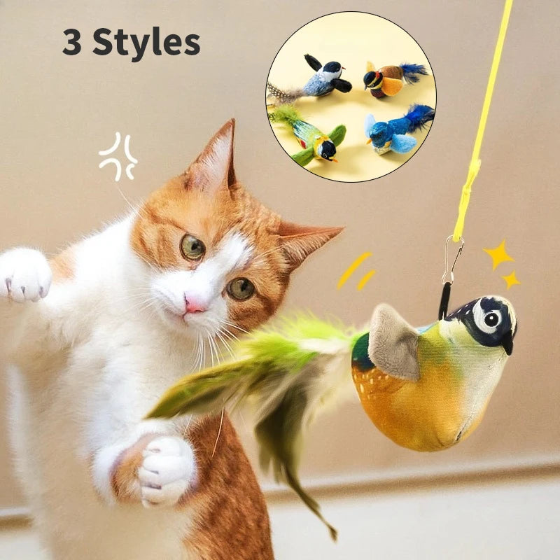 Bird to chase and tease, sound toy