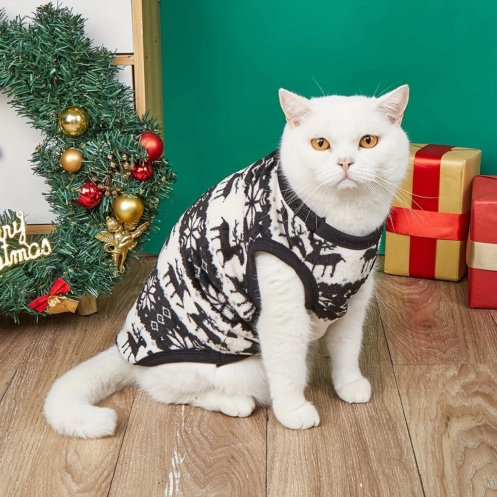 Dog cape, coat, and shawl for pets