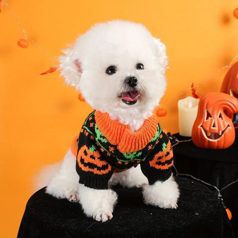 Dog cape, coat, and shawl for pets