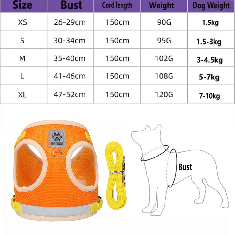 “Walk your pet safely, even at night! Lightweight, comfortable, and visible from afar.”