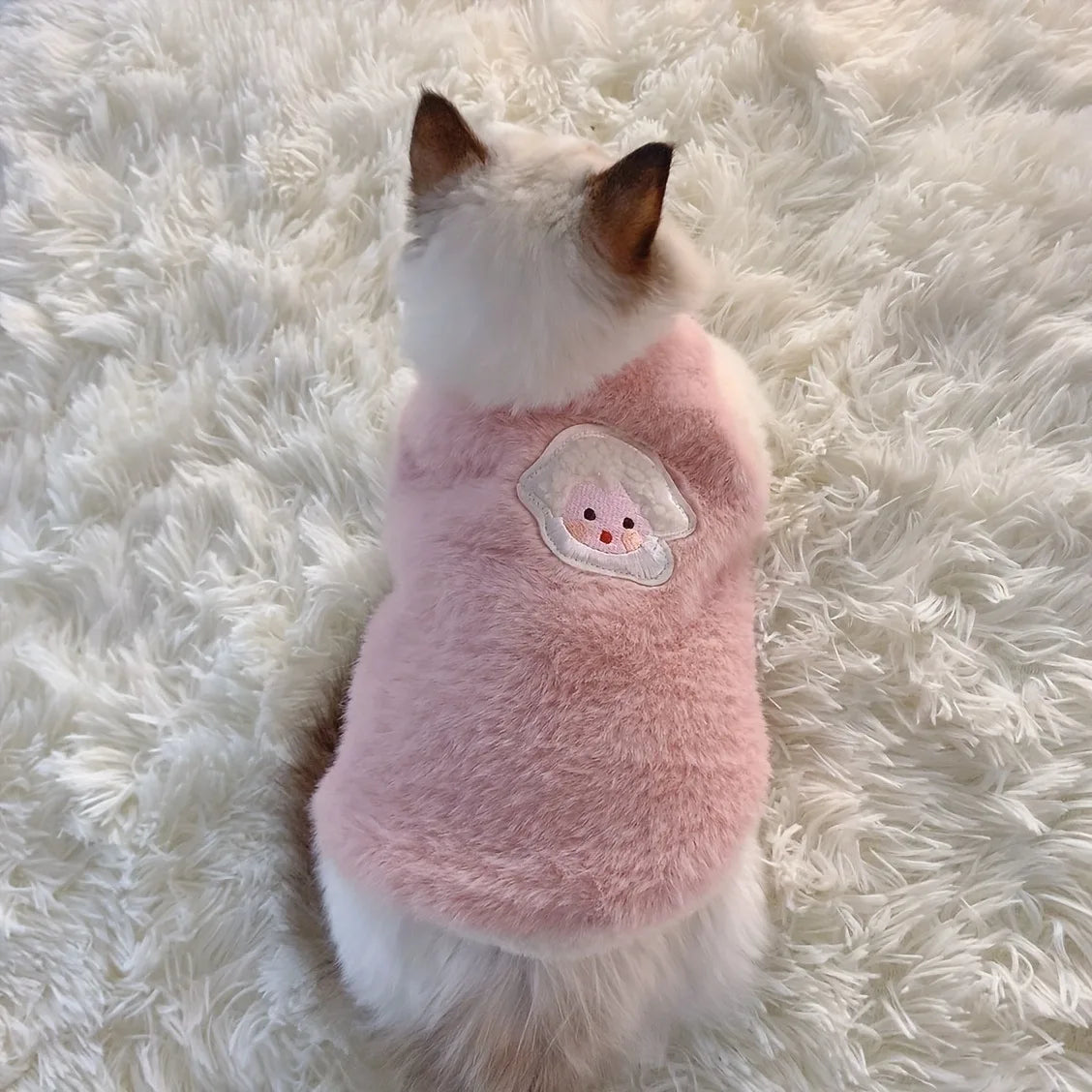 Refreshing kitten clothes, sweaters and cardigans for dogs