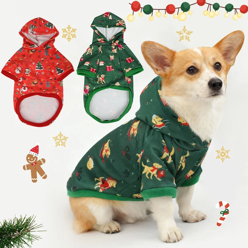 Dog cape, coat, and shawl for pets