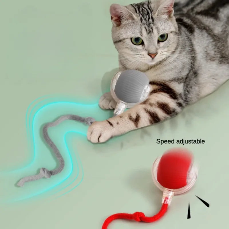 Interactive automatic rolling ball for kitten