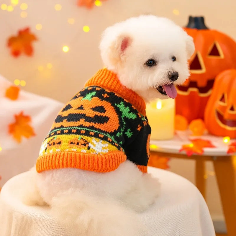 Dog cape, coat, and shawl for pets