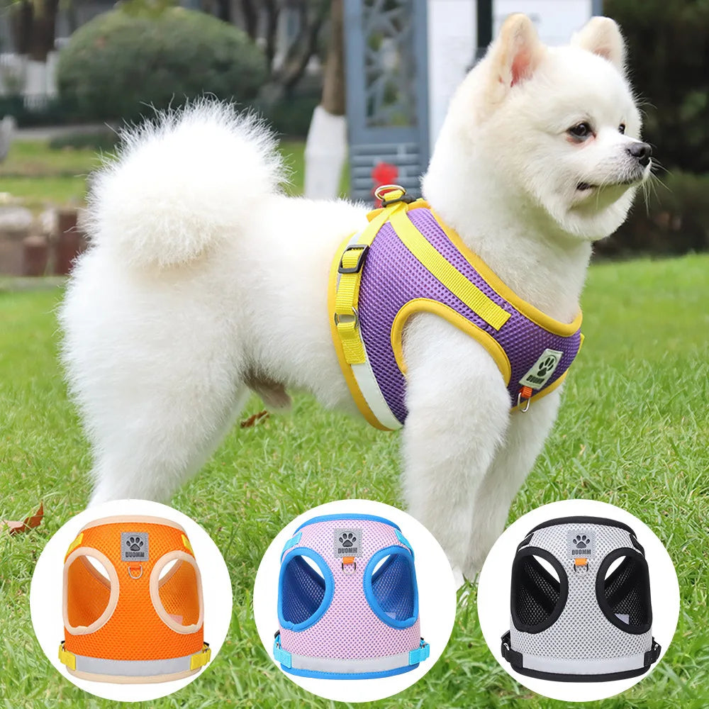 “Walk your pet safely, even at night! Lightweight, comfortable, and visible from afar.”