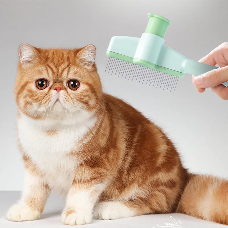 Massage and grooming brush for cats and dogs