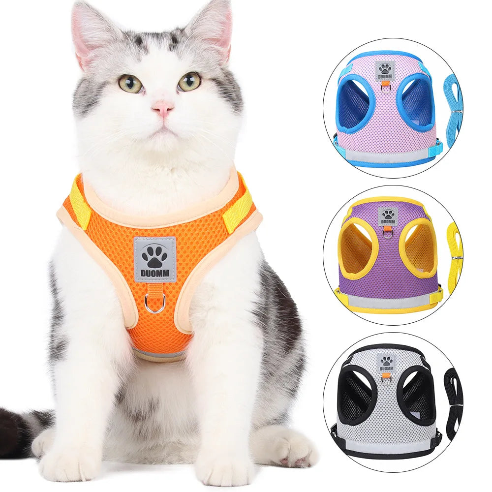 “Walk your pet safely, even at night! Lightweight, comfortable, and visible from afar.”
